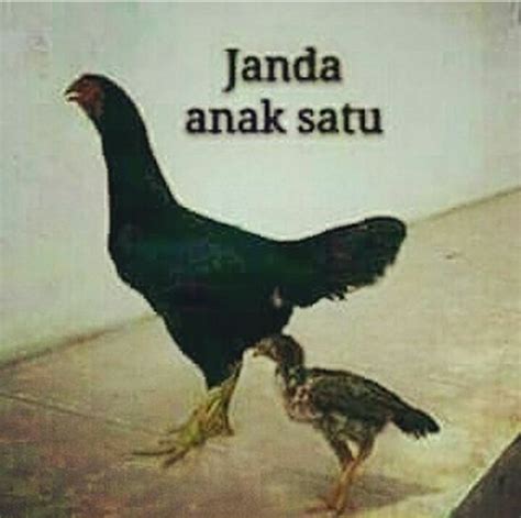 Janda Anak Satu | KASKUS