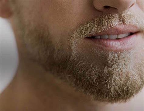 full beard styles  men