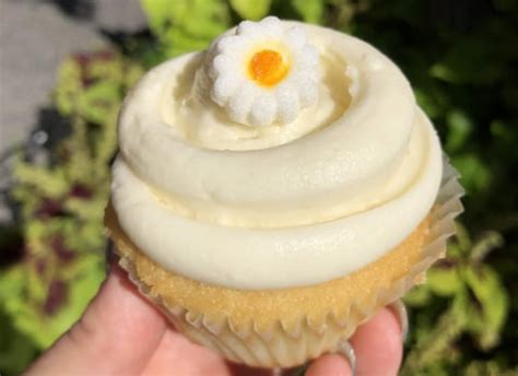 bake magnolia bakerys popular vanilla cupcake  home   recipe
