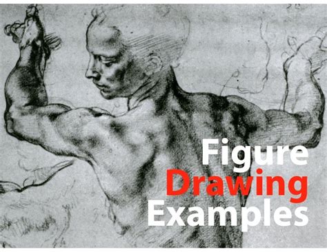 Figure Drawing Examples