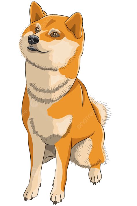 Smiling Japanese Akita Inu Dog Sitting, Lie, Training, Isolated PNG and