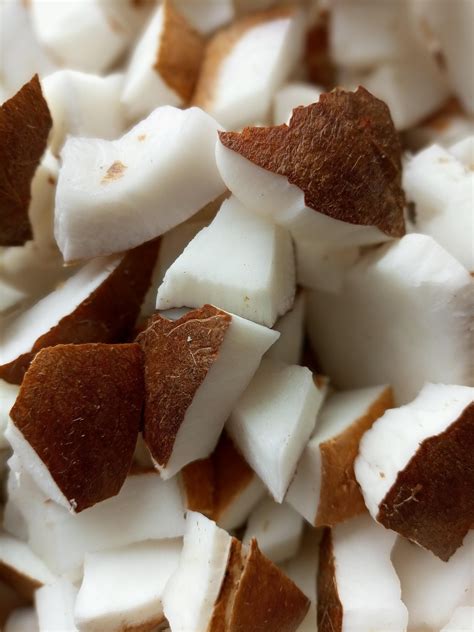 Coconut Meat Food - Free photo on Pixabay