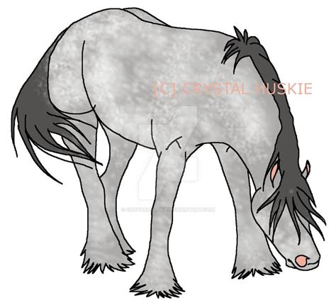 dapple grey horse  crystalhuskie  deviantart
