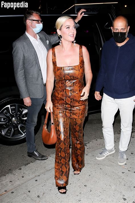 Katy Perry Nude OnlyFans Leaks - Photo #4307407 - Fapopedia