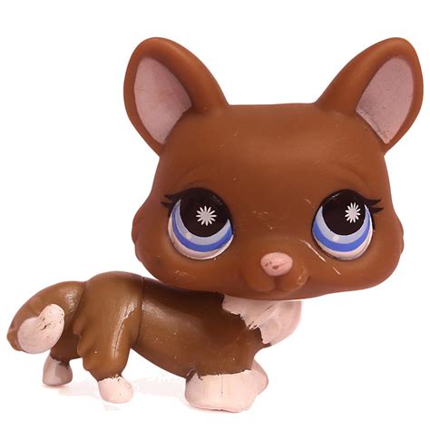LPS Database Search: "Corgi" | LPS Merch
