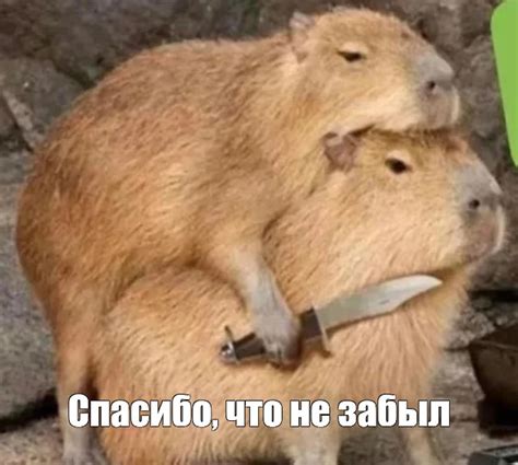 Мем: "Спасибо, что не забыл" - Все шаблоны - Meme-arsenal.com