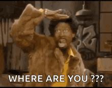 meme    discover share gifs