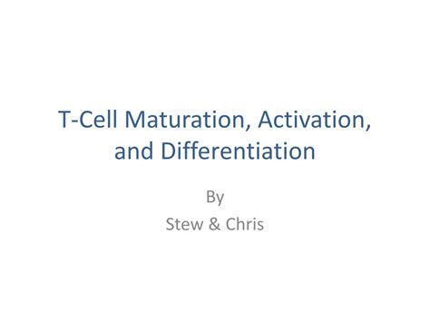 cell maturation activation  differentiation powerpoint
