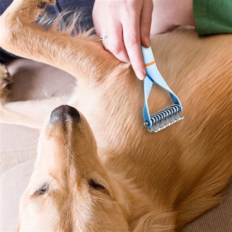 Hwkond Cat Hair Brush Pet Knotting Comb Special For Dogs To Shave