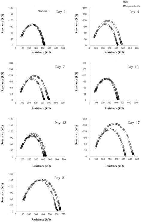 Monitoring Rose Black Spot Disease Using Electrical Impedance Spectroscopy