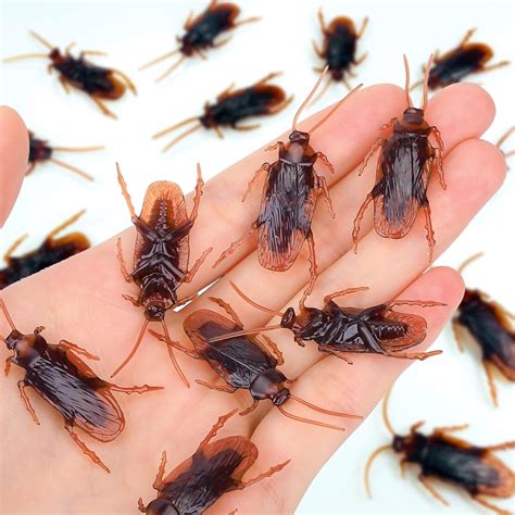 Wirrabilla Realistic Fake Roaches - 50PCS Great for Pranks, Halloween