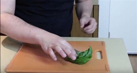 how to cut basil for cooking