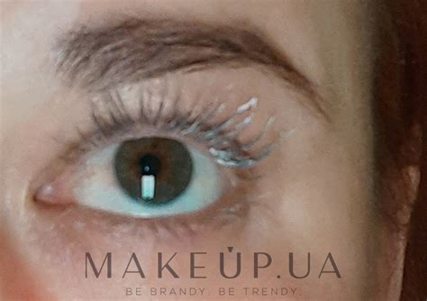 Eveline Cosmetics Eyelashes Concentrated Serum Mascara Primer 3 In 1 ...