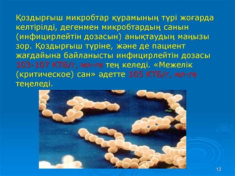 Ауруханаішілік инфекция - презентация онлайн