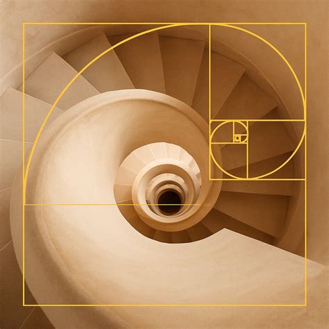 fibonacci sequence spiral  infinity