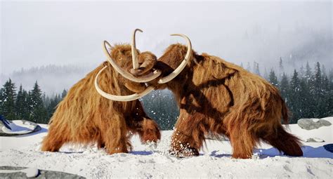 Prehistoric Elephant