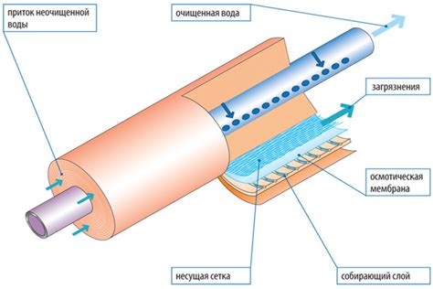 Об осмосе - простым языком