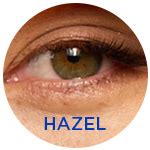 amber eyes amber color  comparison  brown eyes