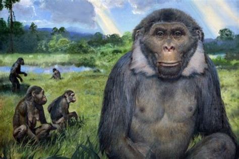 Ramapithecus – Wikipedie