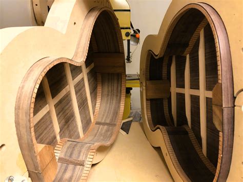 A Symphony of Luthier Craftsmanship & Musical Passion in Sarasota