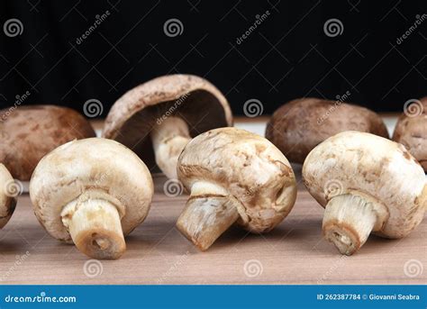 Edible and Healthy Mushrooms for Food Fungi Used in Cooking Stock Photo ...