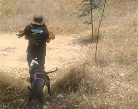 dogs | Oddity Central - Collecting Oddities