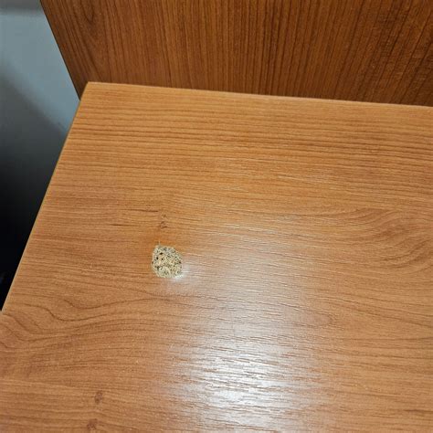 PREMIER INN BARRY ISLAND CARDIFF AIRPORT HOTEL - 2026 Reviews, Photos