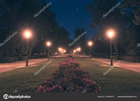 Дорога Парк Ночью стоковое фото ©khoroshkov 199052670