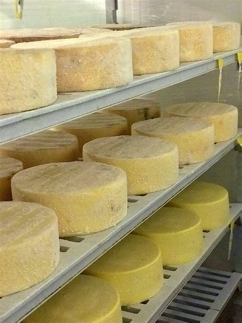 Cotswold Secrets Unveiled: 4 Days with Locals - Cotswold Tours & Travel