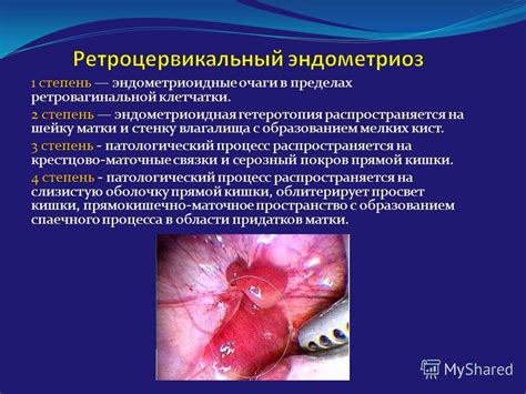 Презентация на тему: "Министерство Здравоохранения и социального ...