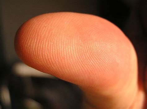 unique    tip   finger scientist
