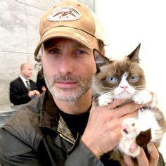 150 Grumpy cat ideas | grumpy cat, grumpy cat humor, grumpy