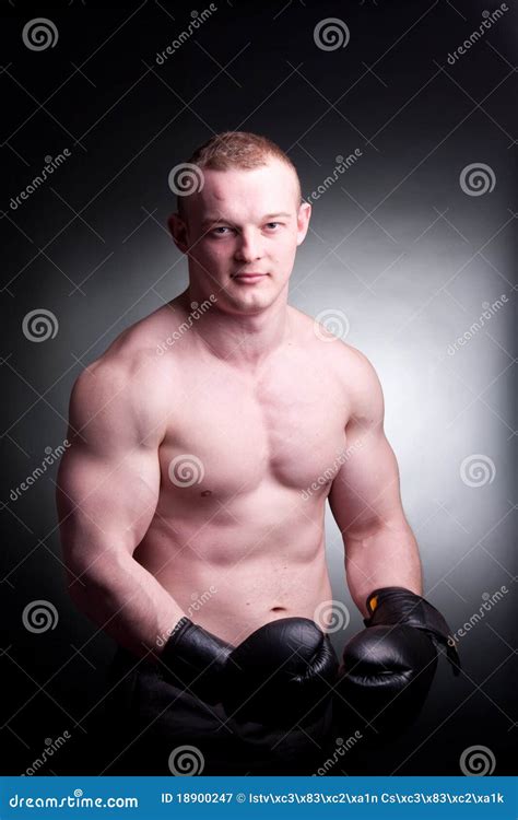 mixed martial artist stock image image  attractive