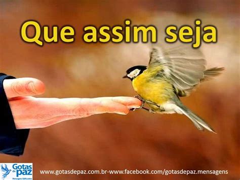 Que Assim Seja Significado - Que assim seja - Gotas de PazGotas de Paz