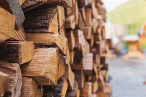 ДроваЄ - як купити дрова через державний інтернет-магазин