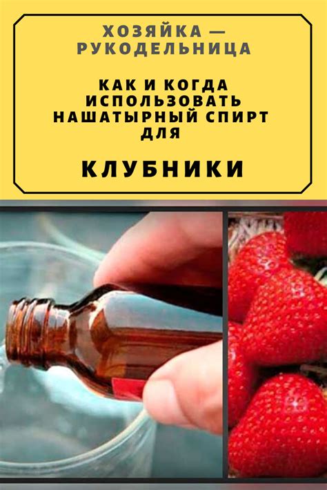 Как и когда использовать нашатырный спирт для клубники — Хозяйка ...