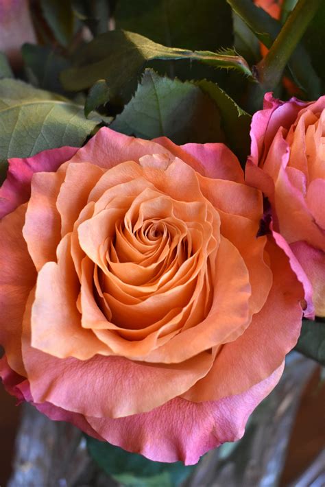 Flower Subscription Service - From the Farm to Your Door - My Four and More