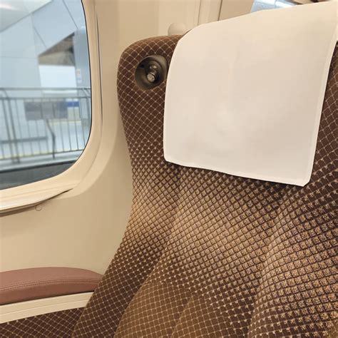 ns  ace luggage