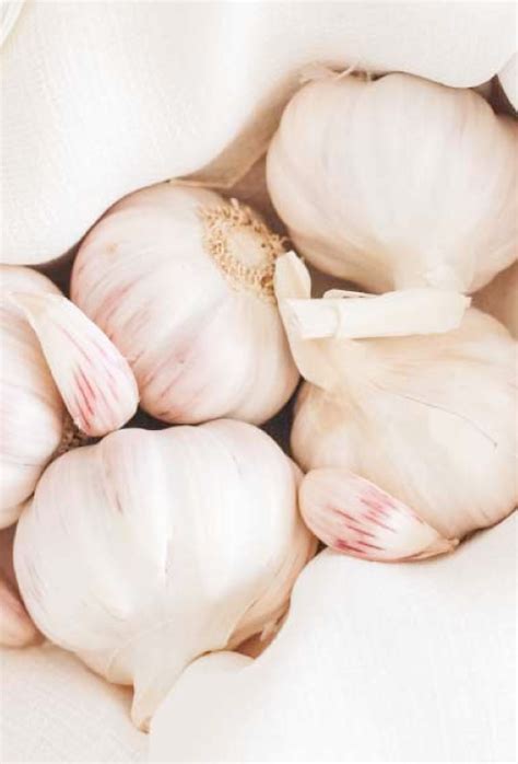 favorite natural cold remedies