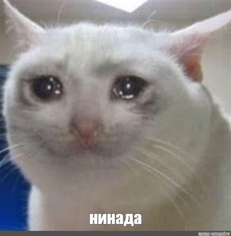 Meme: "нинада" - All Templates - Meme-arsenal.com