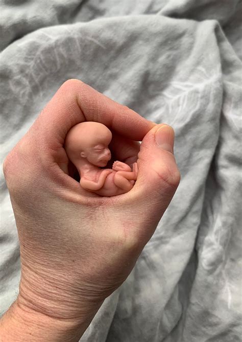 Made to Order 10 Week Gestation Fetus Memorial/honor - Etsy Canada