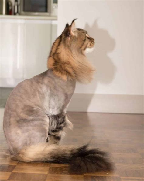 Central maine newspapers cuts will limit your local news access 14