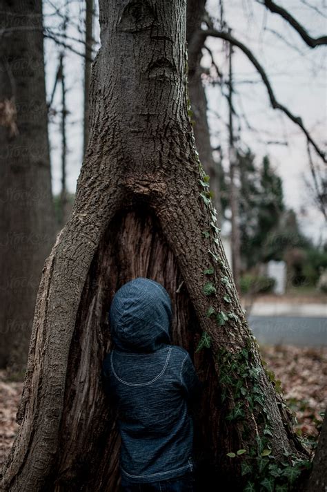 "Peek A Boo, Boy Hiding Inside The Base Of A Tree" by Stocksy