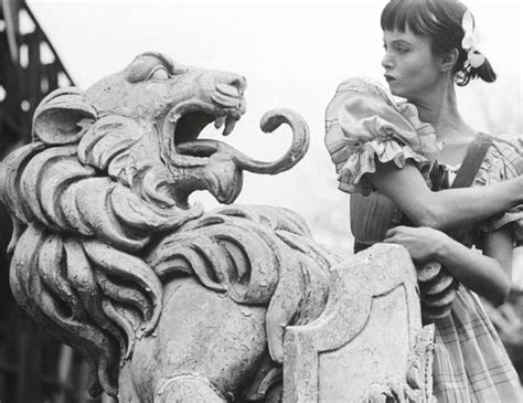 Lions