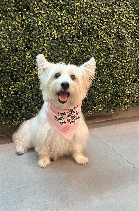 People are obsessed with these 8 year old hairstyles on tiktok 13