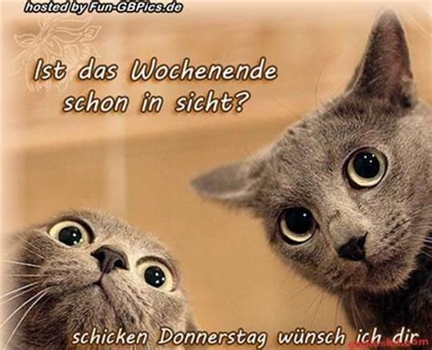 23+ Ide Populer Bilder Lustig