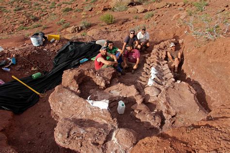 Scientists Find Largest Dinosaur Fossil Ever Discovered, Dates Back 98 ...