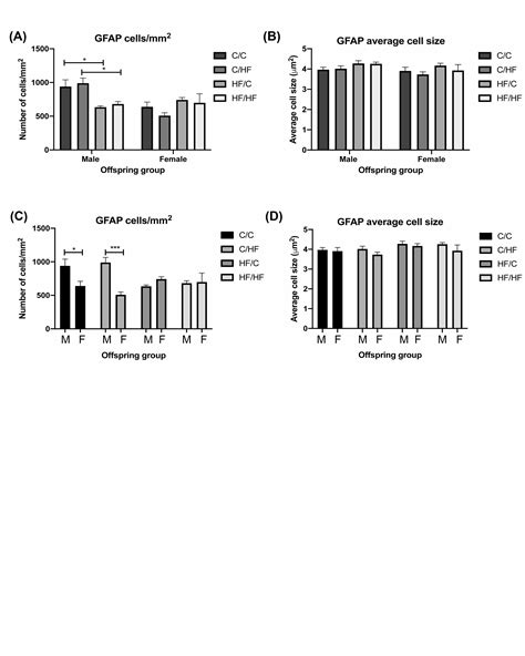 ~REPACK~ Download Michelle Agudo Zip