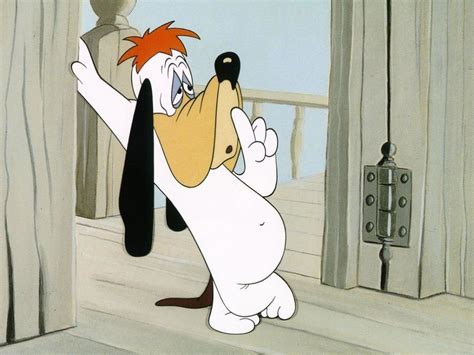 Fond d'ecran Droopy - Photographie 1287 - Wallpaper