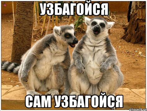 узбагойся сам узбагойся, Мем Узбагойся - Рисовач .Ру